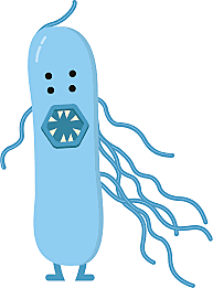 industrial revolution