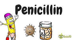 modern world jan 1 1900- dec 31 1999