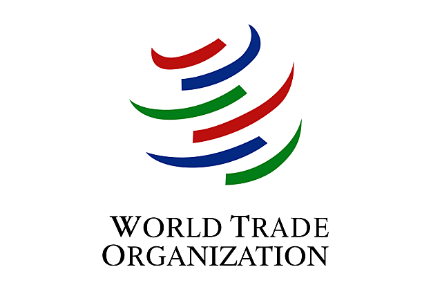 Formation of WTO