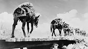 formas de transportar el mineral