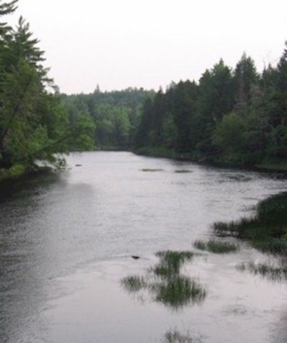 Forest Reservation Act of 1891