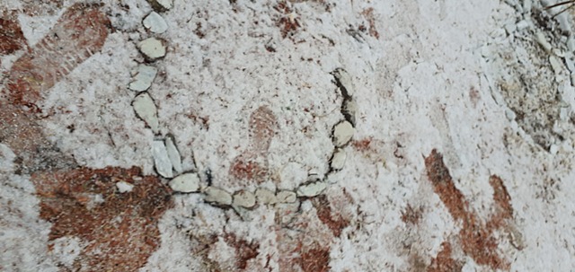 Código de educación de 1955