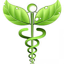 CREACION DE ESCUELA DE MEDICINA NATURAL