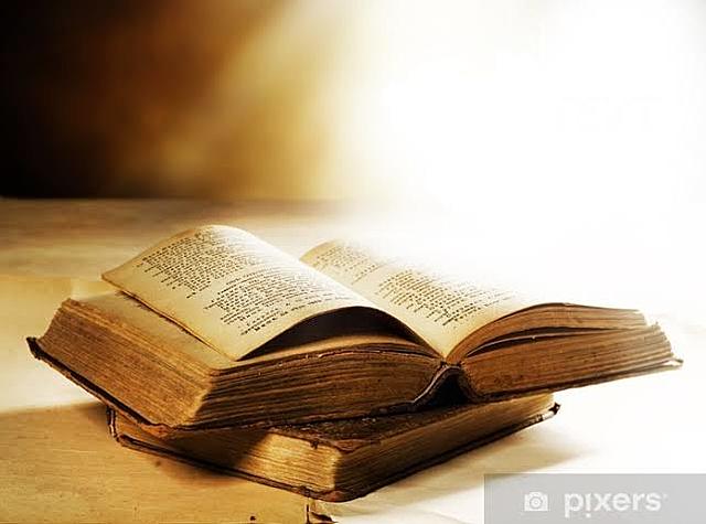 Primer curriculo para enfermeras