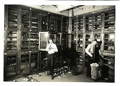 Police Chief August Vollmer establishes the first forensic laboratory in Los Angeles