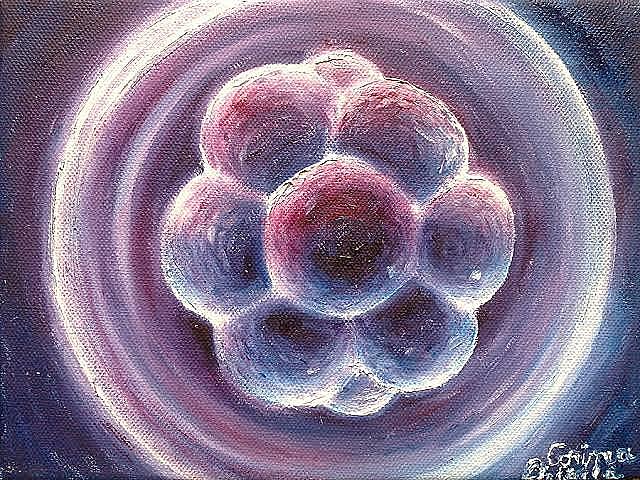 Primera semana; Segmentación