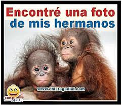 Nace la adoracion de mi vida