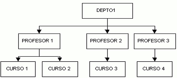 ESTRUCTURA JERÁRQUICA