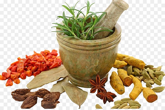 Medicina Ayurvedica