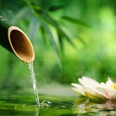 Timeline: Terapias Naturales