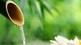 Timeline: Terapias Naturales