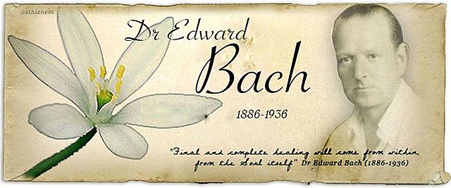 EDWARD BACH TERAPIA FLORAL