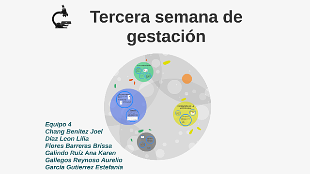 Tercer y Curta Semana
