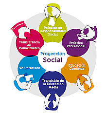 Organización con mayor proyección social