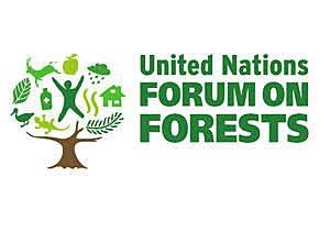 Conferencia de las Naciones Unidas sobre el Medio Ambiente y el Desarrollo