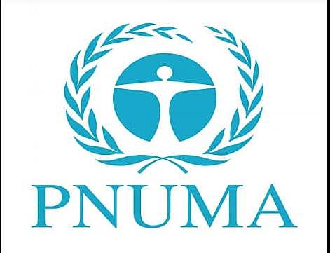 Conferencia Mundial de Derechos Humanos.