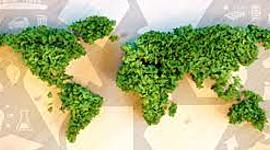 Timeline: Desarrollo Sustentable