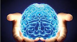 Timeline: NEUROPSICOLOGIA EN EL TIEMPO