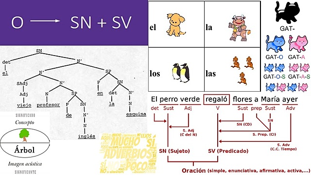 Teorías lingüísticas afectan la enseñanza de la literatura