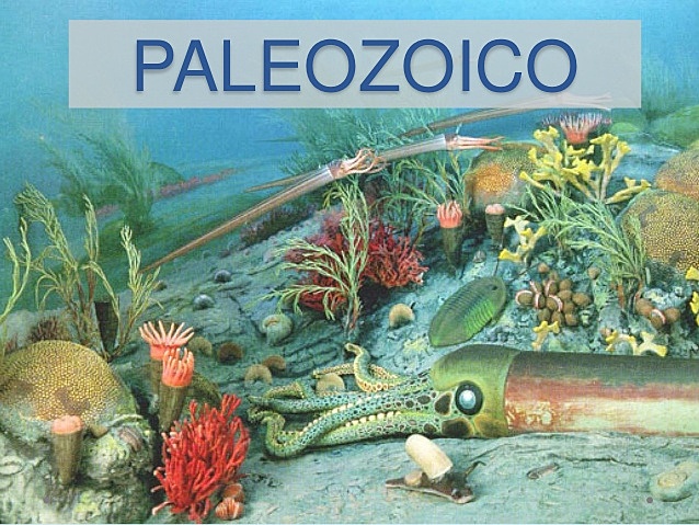 PALEOZOICO