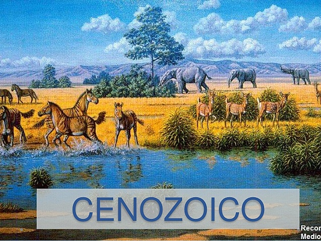 CENOZOICO