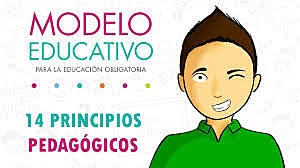 Los 14 principios pedagógicos incluidos en los modelos educativos actuales.