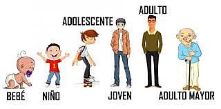 Etapas de desarrollo.