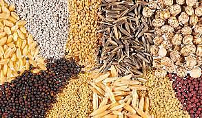 primeros intercambios