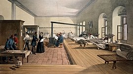 Timeline: EVOLUCION HISTORICA DE LA SALUD PUBLICA