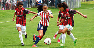 Diferentes escuelas de educación física