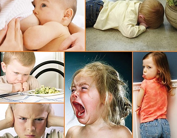 Neuropsicología Infantil del Desarrollo: Detección e Intervención de Trastornos en la Infancia