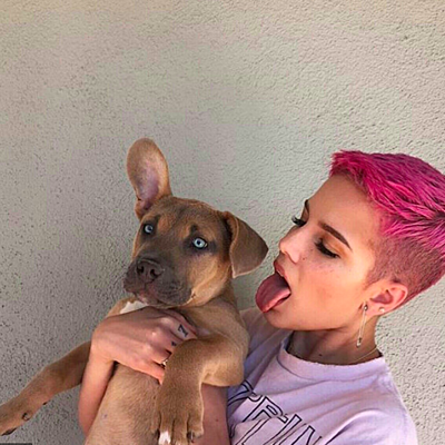 Timeline: Halsey's Life