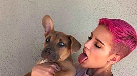 Timeline: Halsey's Life