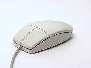 Computer Mouse