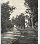 LOS CAMINOS A COMIENZOS DEL SIGLO XX