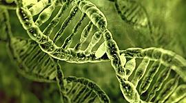 Timeline: Historia de la Biología