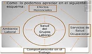 los servicios de salud ocupacional