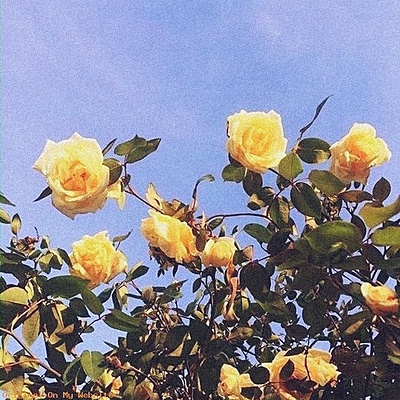 Timeline: Línea del tiempo - OE