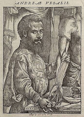 Andreas Vesalius (1533-1543)