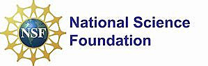 National Science Foundation Fellow