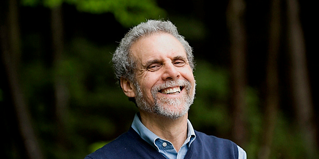 Enfoque Contingente (Daniel Goleman)