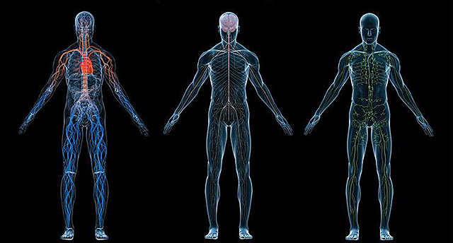 Fisiología en España
