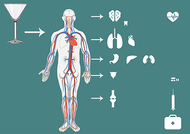 Fisiología en Latinoamérica
