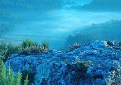 Expansión del fondo oceánico