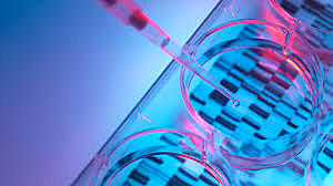 The human genome project is completed and can be used to individualize patients medications and treatments