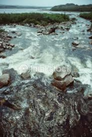 An Important Decision.