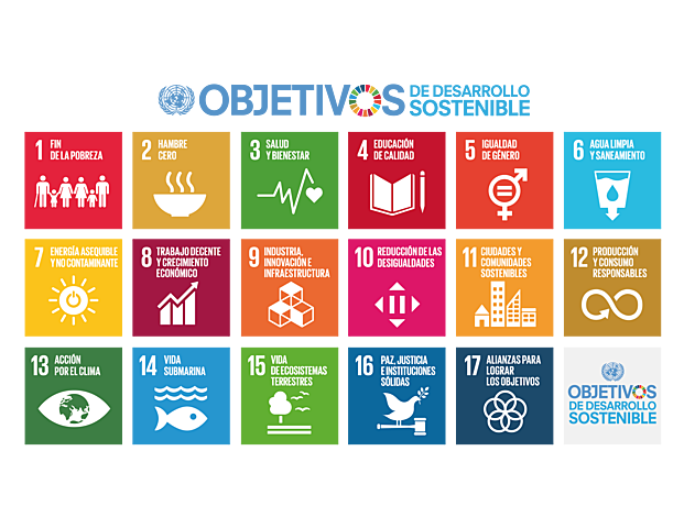 La Cumbre del Milenio de las Naciones Unidas en New York