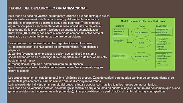 TEORIA  DEL DESARROLLO ORGANIZACIONAL