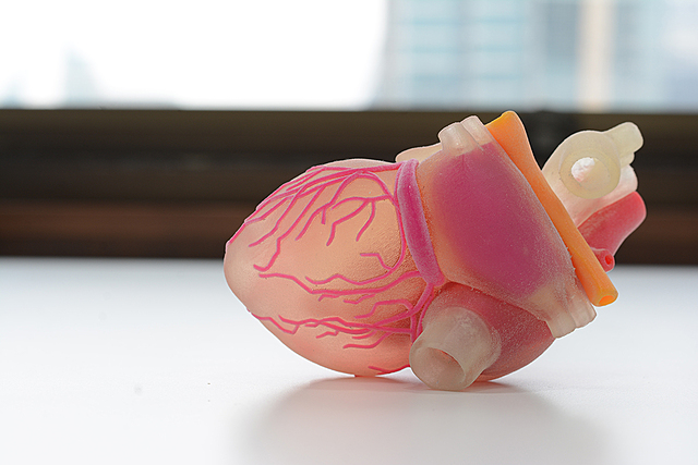 3D printed body parts