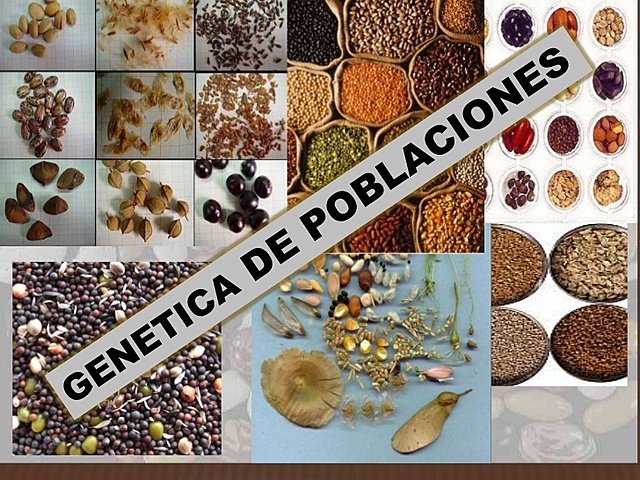 ARMONIZACIÓN DE LAS TEORÍAS